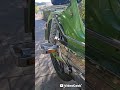Mein Puch Maxi S