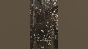سورة الكهف يوم الجمعة الكهف نور مابين الجمعتين