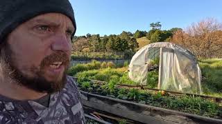 1% a week on our New Zealand homestead
