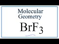 Bromine and Fluorine Bonding Concepts