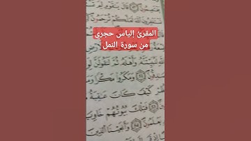 إلياس حجري سورة النمل #حجري_إلياس_النمل