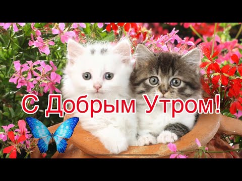 С Добрым Утром!🌺 Красивая Музыкальная Открытка Пожелания! Красивая Музыка!