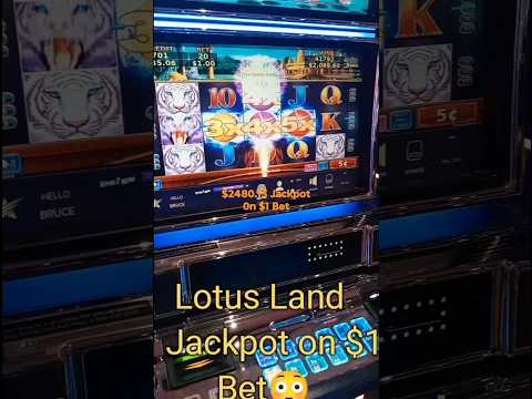 Experience Luxury Gaming: Play at White Lotus Casino in English, South Africa