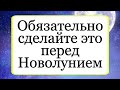 Обязательно сделайте это перед Новолунием. | Тайна Жрицы |