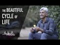 The cycle of life and its beauty as told by iqbal mohamed passion photographer