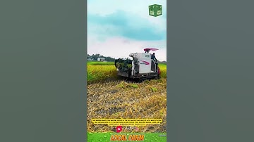 🌾 Rice Harvesting with Modern Machines 🌾 #modernfarming #efficientwork #agriculture