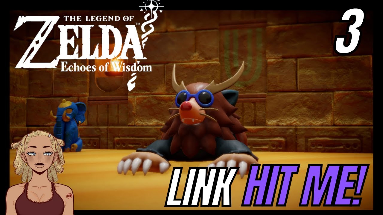 LINK HIT ME The Legend of Zelda: Echoes of Wisdom | Part 3 - YouTube