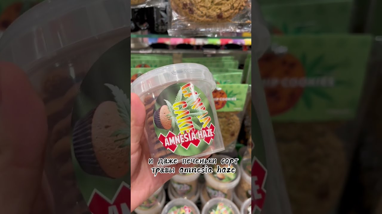 Нидерланды | легально курят и продают марихуану
