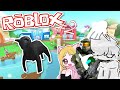 Somos gatos en una Isla en Roblox