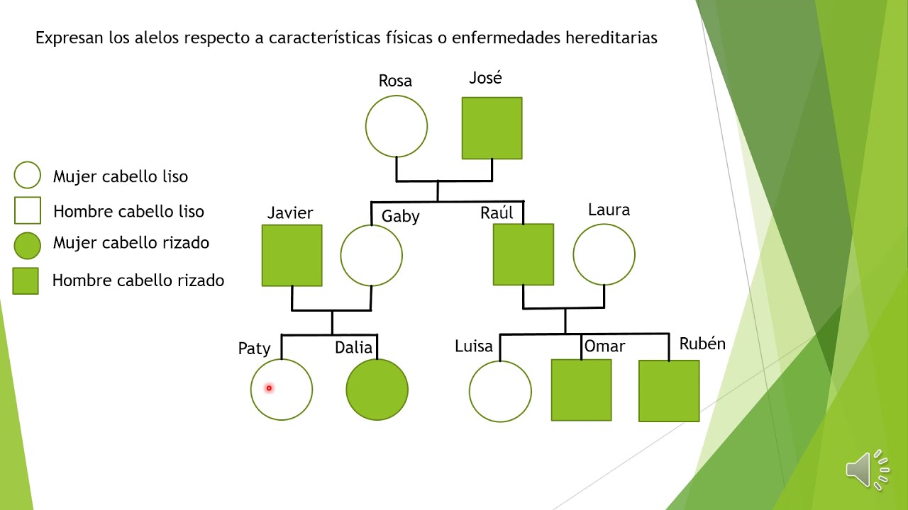 Resplandor catalogar Desventaja Arbol genealogico con fenotipo - YouTube