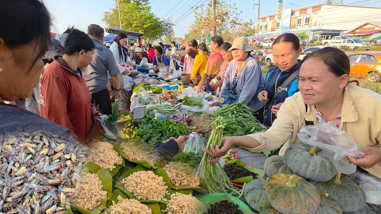 ไข่มดแดง ปลาน้ำโขง อาหารป่าตามฤดูกาล ตลาดบ้านหัวนา อ.เขมราฐ จ.อุบลฯ