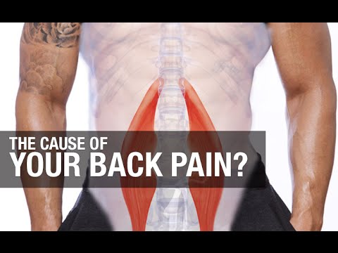 Back Pain With Ab Exercises (WHAT TO DO)