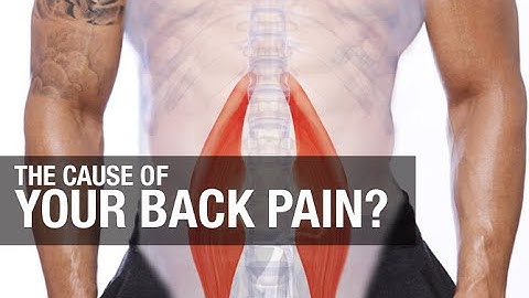 Back Pain With Ab Exercises (WHAT TO DO)