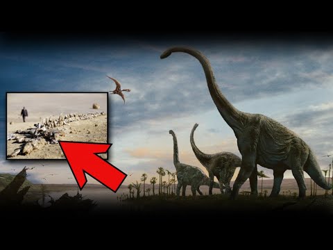 Video: Kas sauropoodidel on luid?
