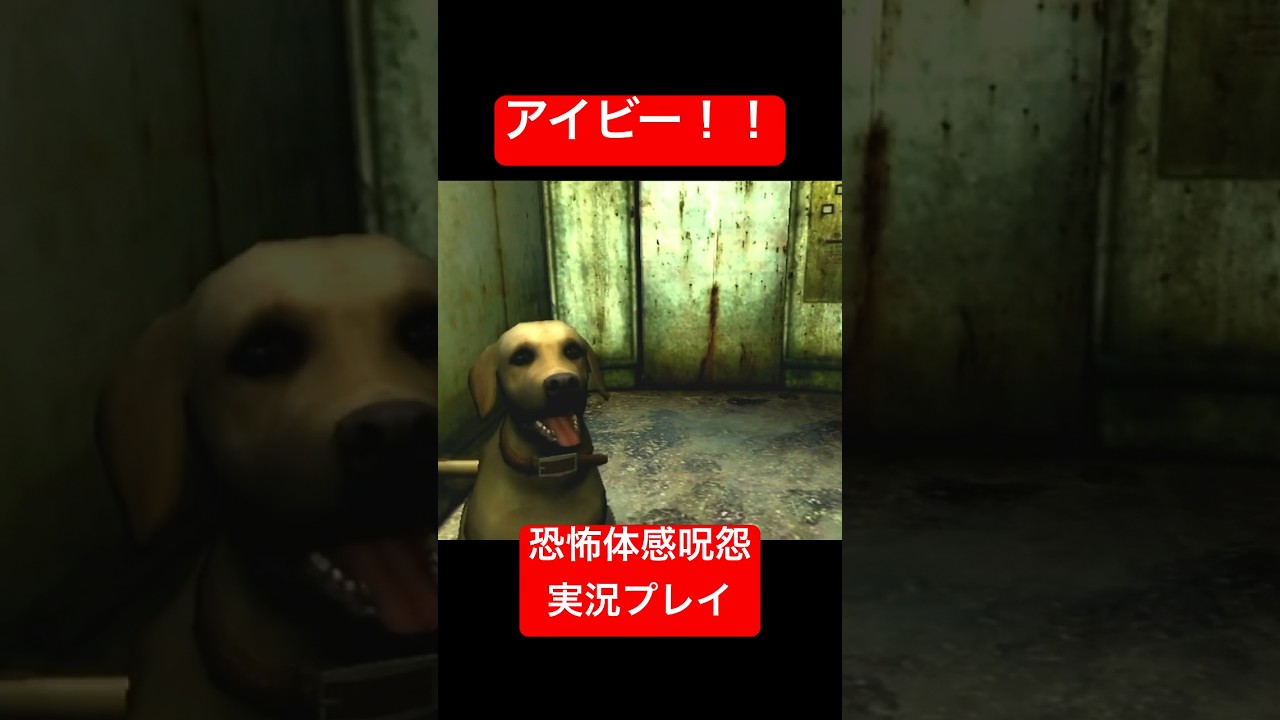 名犬アイビーの壮絶な最期 #shorts #ゲーム実況 #ゲーム #恐怖体感呪怨 #ホラーゲーム実況プレイ #ホラゲー #絶叫 #wii #nintendo #任天堂 #ホラゲ #ナンデヤ俱楽部