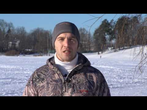 В курсе дела. Выпуск 282