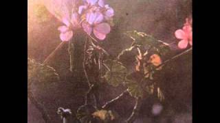Viejas mascarillas - Luis Alberto Spinetta chords
