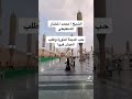 حب المدينة المنورة وطلب العيش فيها العلامة محمد المختار