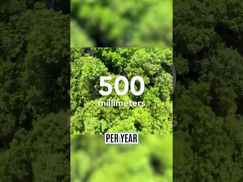 This is REMARKABLE footage...