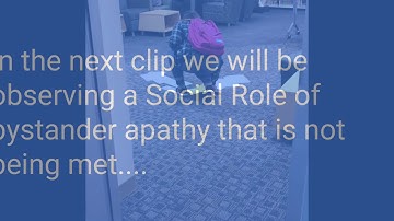 Field Based Observation Video