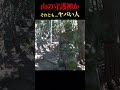 【高宕山】山道で遭遇した「怖すぎる守護神」の正体が… #高宕山 #shorts