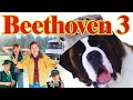 BRECENZE: Beethoven 3 (2000)