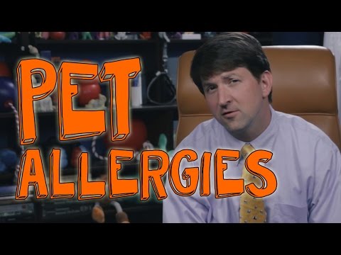 5-simple-tips-for-people-with-pet-allergies