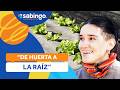 "DE HUERTA A LA RAÍZ": La historia de Óscar y Camila - Sabingo