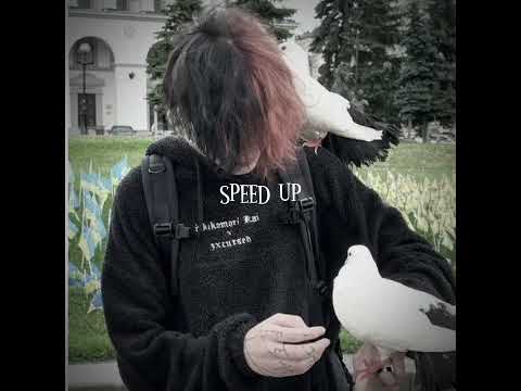 //Scally Milano- секс деньги наркотики//speed up