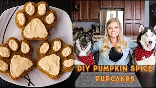 DIY Pumpkin Spice Pupcakes For Dogs!