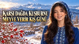 Karşı Dağda Kuşburnu - Meyve Verir Kış Günü