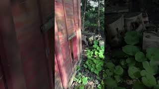 I wonder what the return policy is? #funnyshorts #comedy #shortsfeed