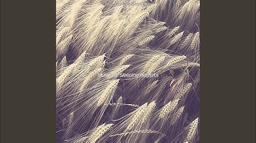 Superlative Backdrops for Deep Sleep