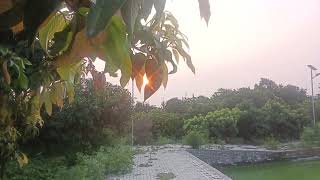 Bueatiful sunrise   with A Bueatiful Good morning [ 2 October ] 🌅