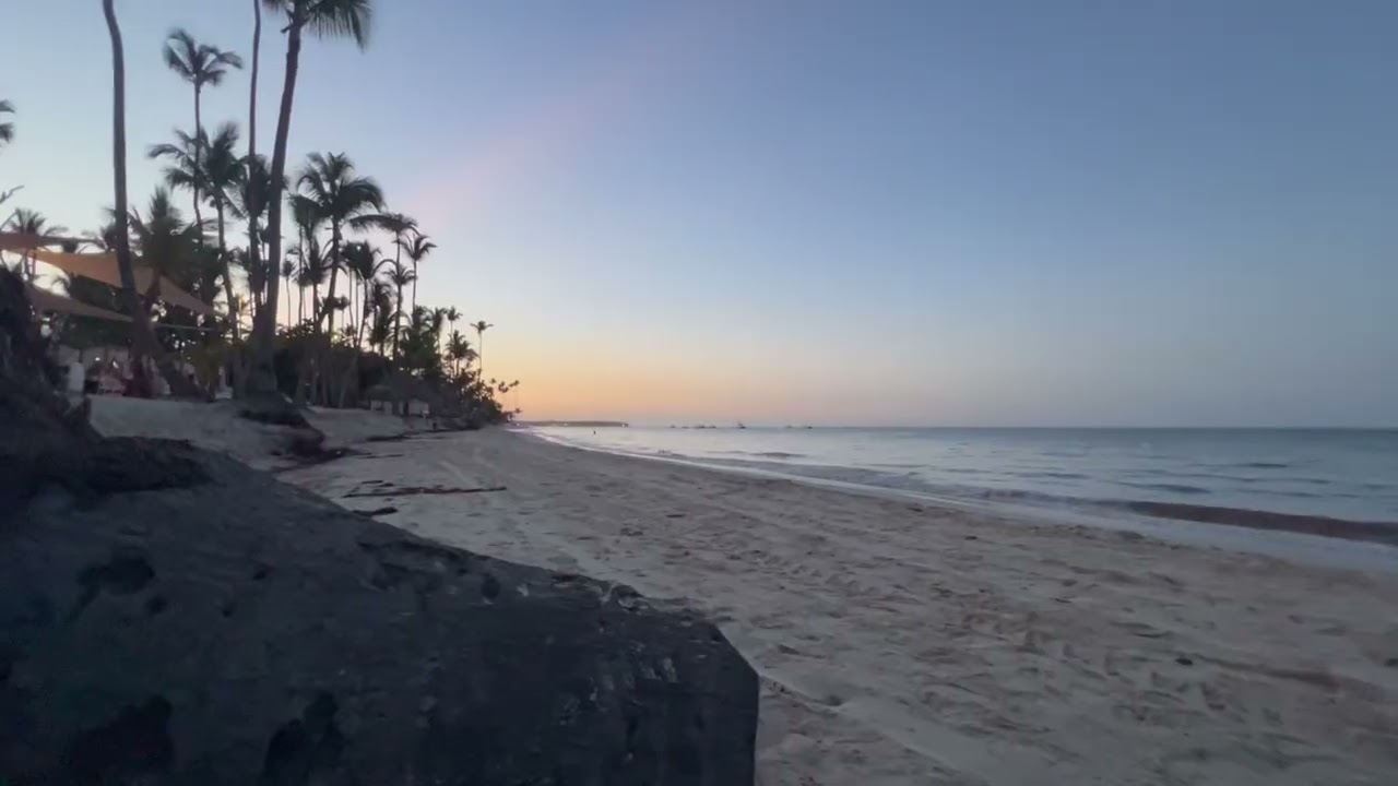 The Smelly Seaweed Beach Of Punta Cana Dominican Republic