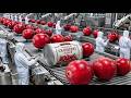 Massive Cranberry Harvest: How Millions of Berries are Processed into Juice (Full Process)