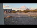 nos quedamos adormir en un lugar abandonado en el desierto de Arizona.