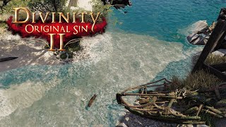 DIVINITY: ORIGINAL SIN 2 Ambience & Music | Rest by the shore in Driftwood | Ocean Waves | 2 HOURS