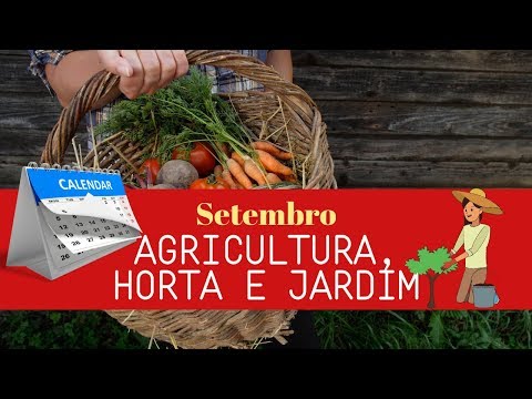 Vídeo: Trabalho De Outono No Jardim E Na Horta