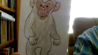 Chimpanzee Puppet Show