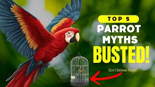 5 Parrot Myths People Still Believe