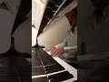 ヒッキー⭐ドルファーの星の流れに🎵