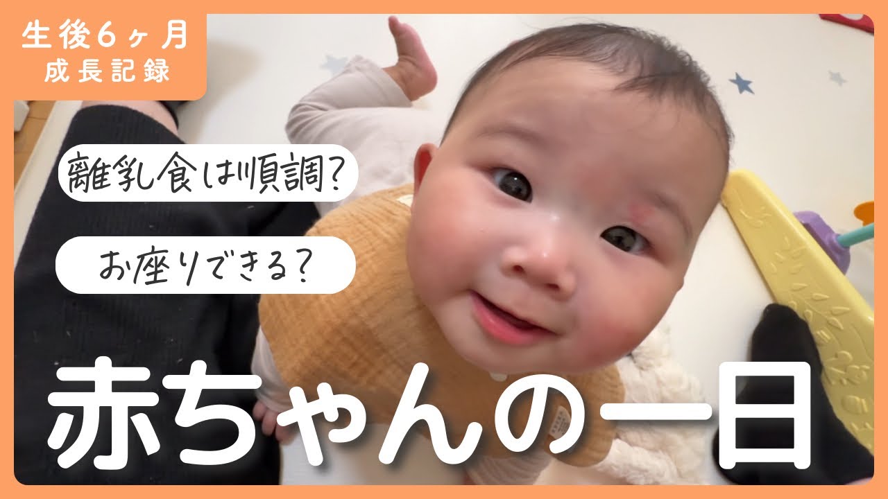 【生後6ヶ月】赤ちゃんとの１日はこんな感じ👶🏻家に引きこもりの育児でも楽しくやってます|新米ママ|生後6ヶ月