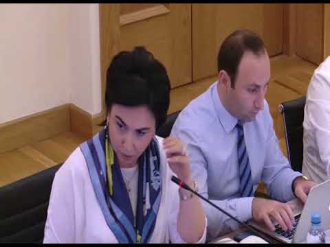 დროებითი საგამოძიებო კომისიის სხდომა N7 - IV ნაწილი, 02.07.2018