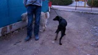 MVI_0725.MOV