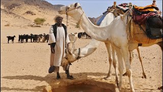 السودان | صحراء بايودا