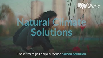 Natural Climate Solutions: Tackling Climate Change and Increasing Climate Resilience