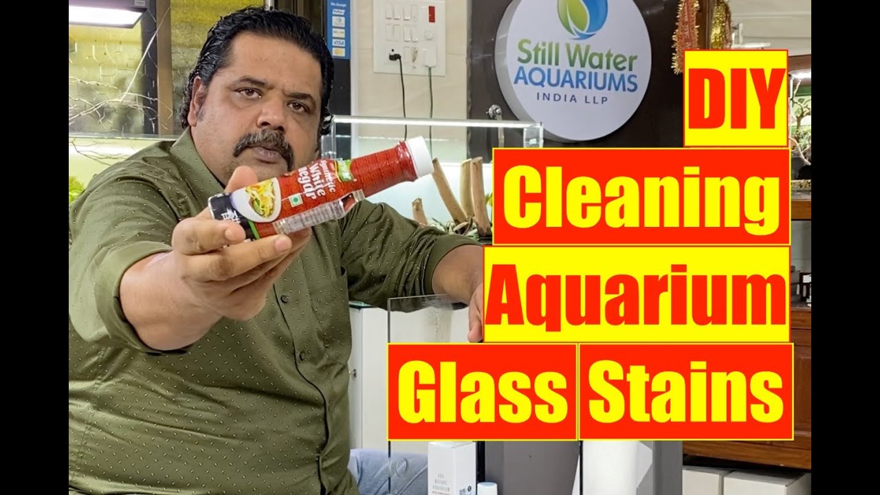 How to CLEAN Aquarium Glass Stains Remove Hard water salt stains