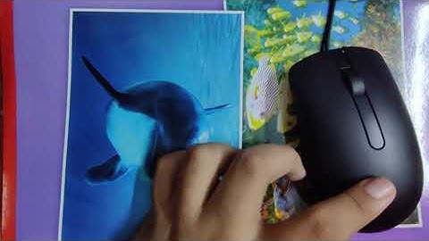 DIY Assignment 3 | Atash Mandal | Assembly-Disassembly