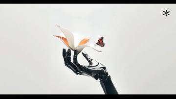 {touch*} soft Chillhop playlist {触} for relax & mind flow - vol.84